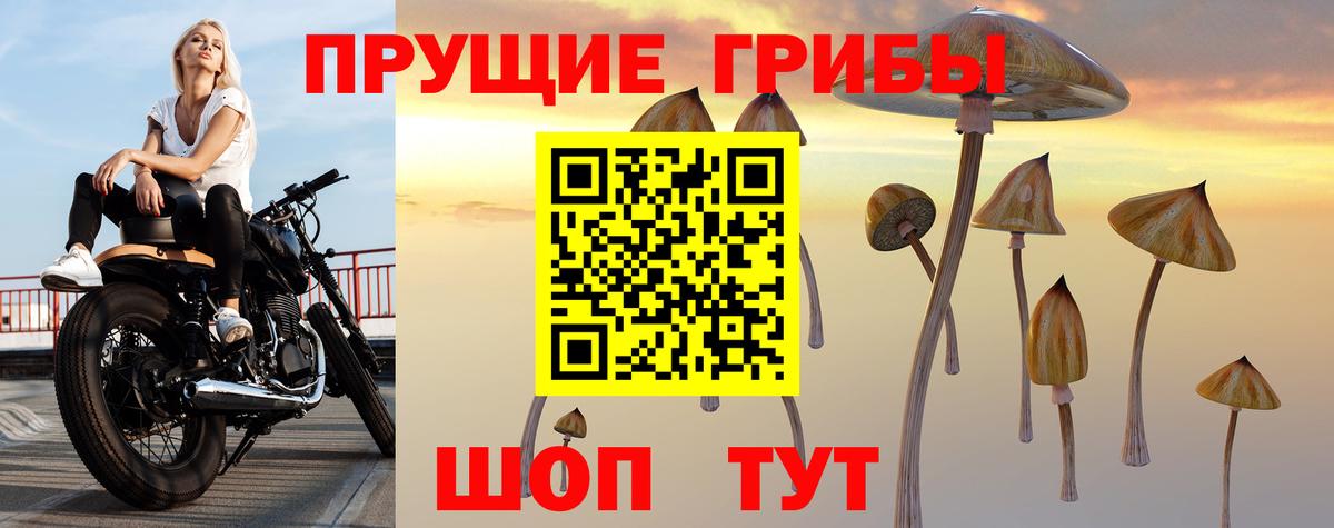 Галлюциногенные грибы Magic Shrooms Находка