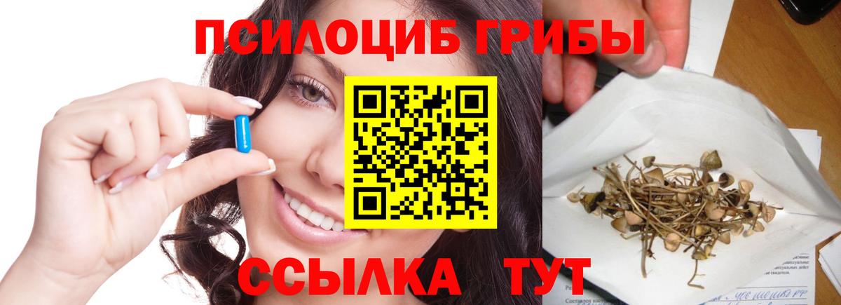 Галлюциногенные грибы MAGIC MUSHROOMS  Вход с VPN  Находка 
